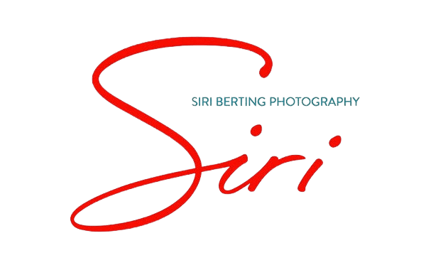 Logo with red cursive text and small blue text.