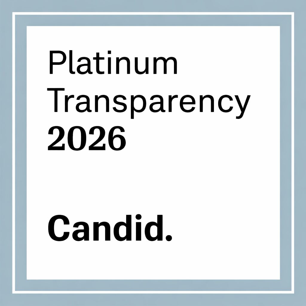 Cover design for Platinum Transparency 2026 report with bold text.