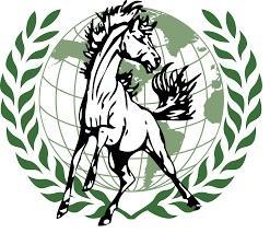 https://mbef.org/wp-content/uploads/2026/08/MCHSMUNgraphic.jpeg